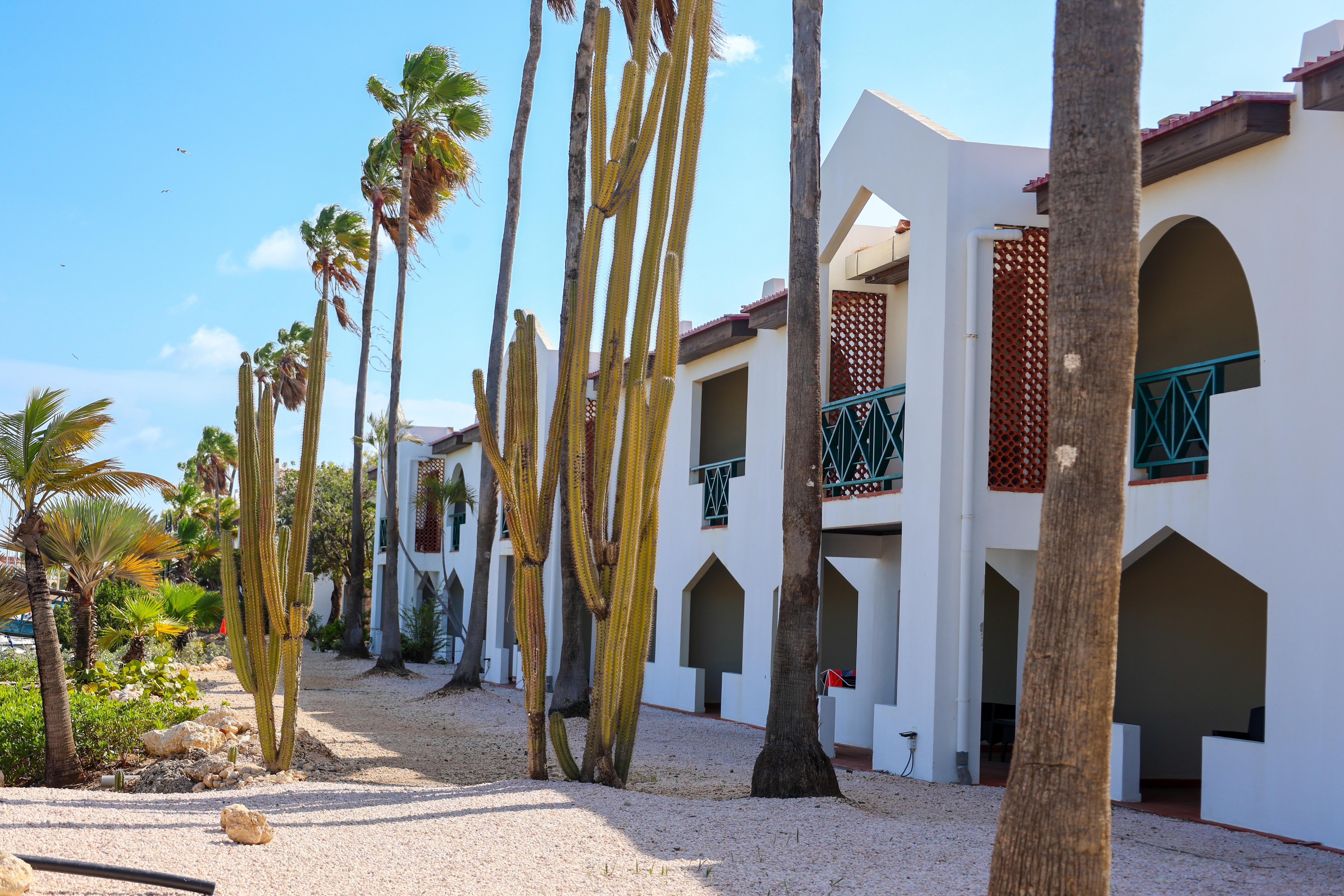 קרלנדיק Van Der Valk Plaza Beach & Dive Resort Bonaire מראה חיצוני תמונה